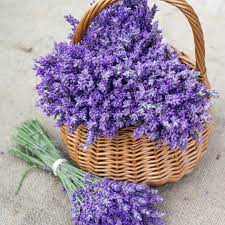 100% Pure Lavender Essential Oil 5ml