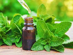 Lip Balm - Peppermint